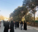 پیاده‌روی گروهی به مناسبت هفته تربیت بدنی در محوطه دانشکده